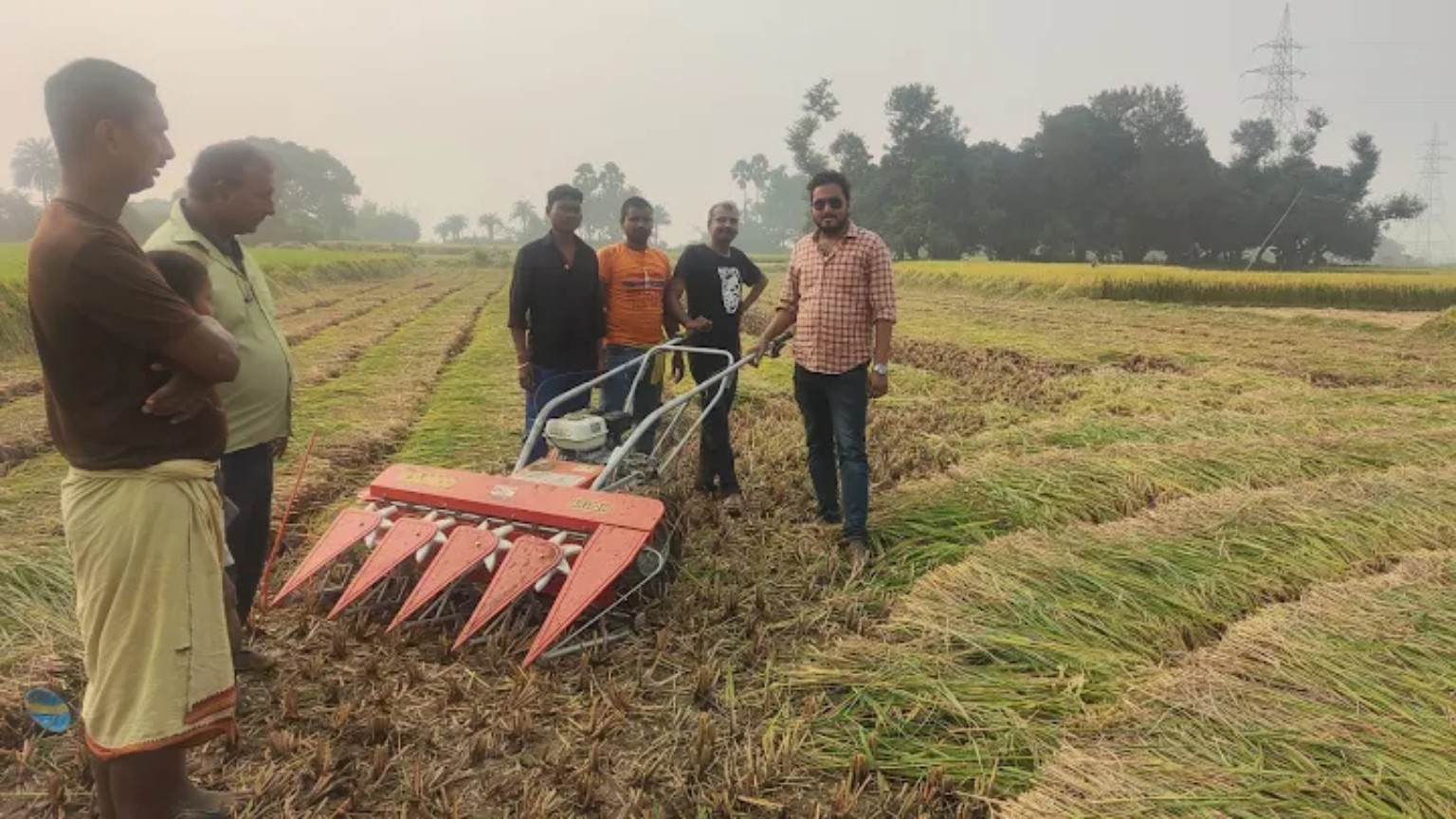 Farm field activity